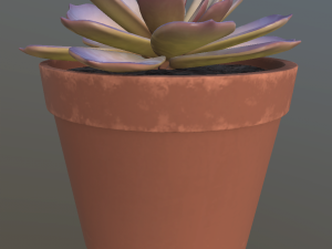 flower with 4 different texture variations Modèle 3D