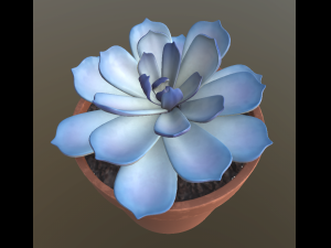 flowerset 3D Model
