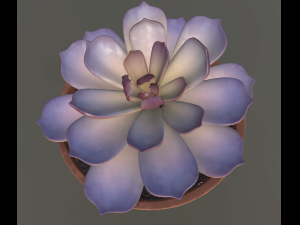 flowerset 3D Model