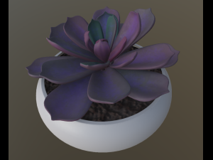 flowerset 3D Model
