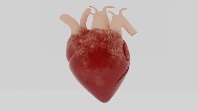human heart 3D Модель .c4d .max .obj .3ds .fbx .stl .blend 