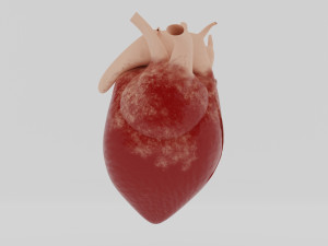 human heart 3D Модель