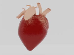 human heart 3D Модель