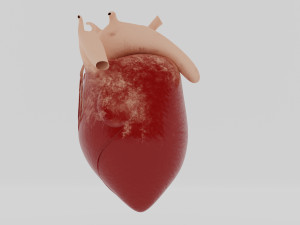 human heart 3D Модель