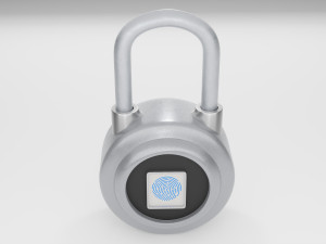 3 sets of padlocks Model 3D
