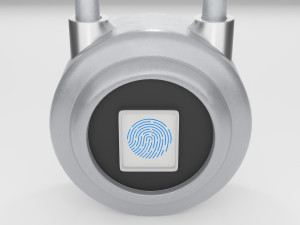3 sets of padlocks Model 3D