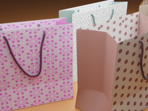 shopping bag 3D Model