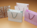 shopping bag 3D Models