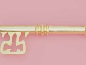 old key Modèle 3D