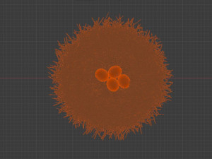 birds nest 3D Модель