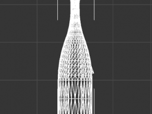 champagne bottle Modelo 3D