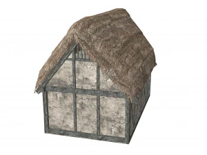 thatched house with a separate deck 3D Model