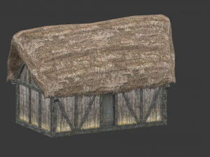 thatched house with a separate deck 3D Model