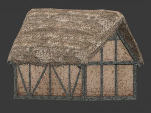 thatched house with a separate deck 3D Model