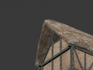 thatched house with a separate deck 3D Model