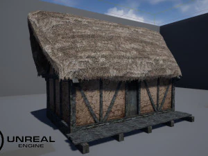thatched house with a separate deck 3D Model