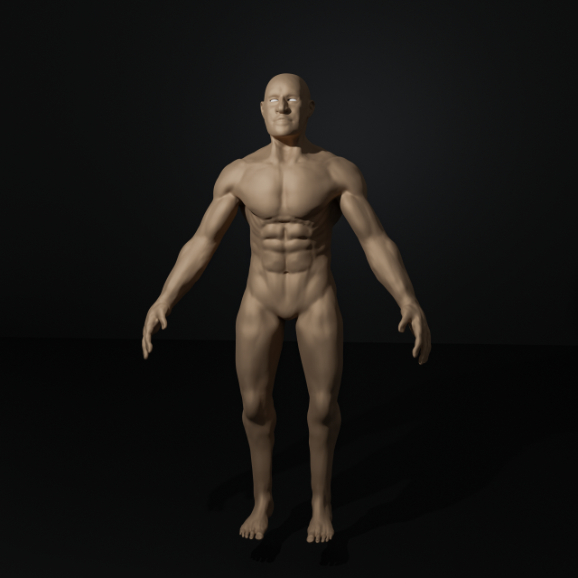 full human body 3D 模型 .c4d .max .obj .3ds .fbx .stl .blend 
