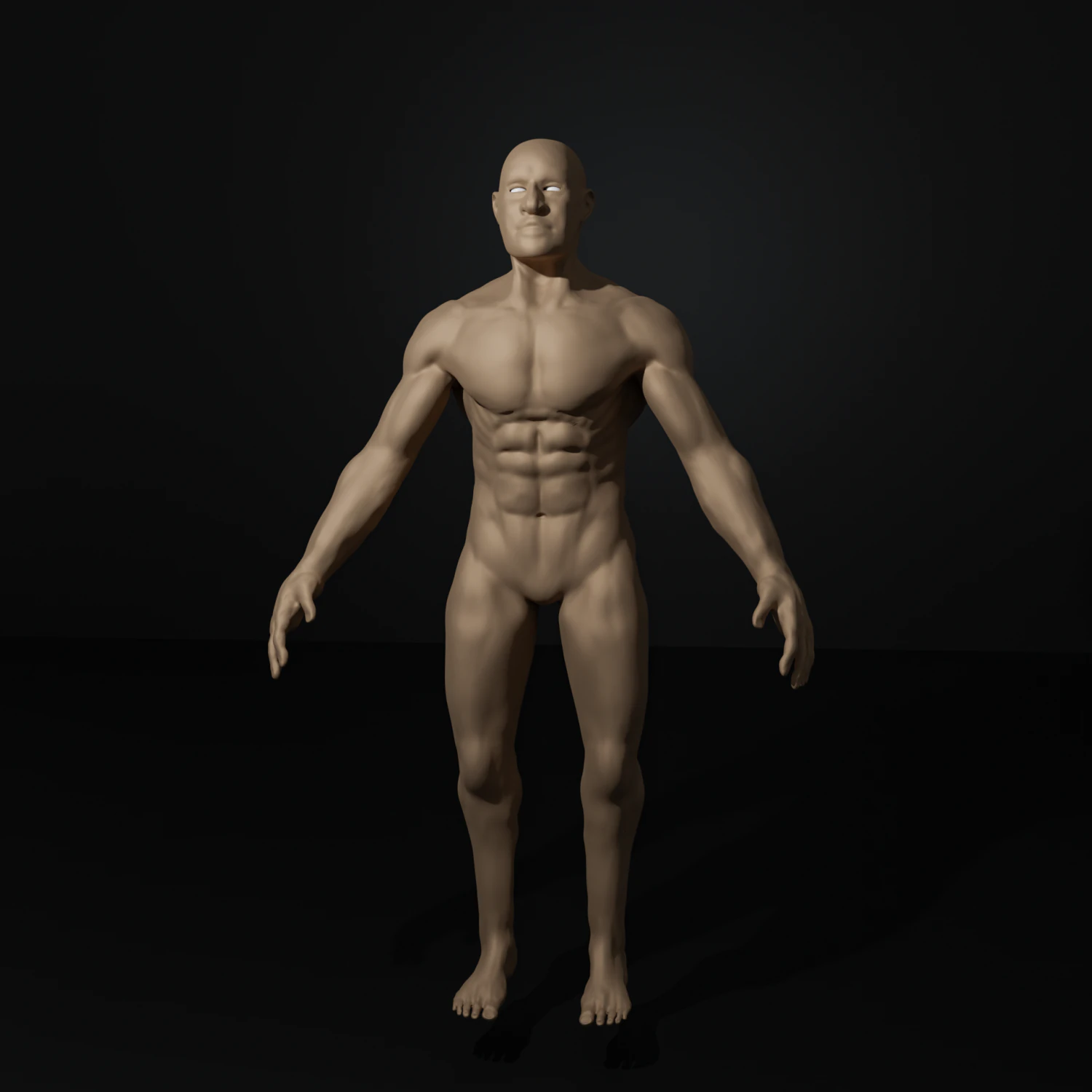 full human body 3D Model .c4d .max .obj .3ds .fbx .stl .blend 