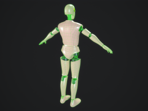 Crash Test Dummy - Rigged Modello 3D
