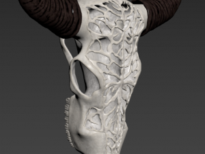 wall decor bull skull with bone carving Model 3D