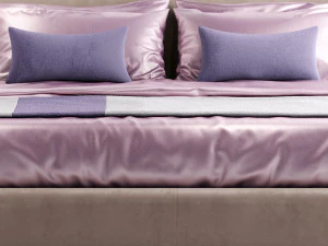 plaine de la m&eacute;tropole de Baxter Modèle 3D