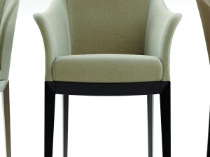 giorgetti normal chair and table 3D Model