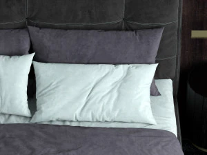 巴克斯特&middot;维克多 3D 模型