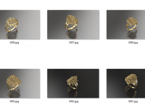 Fusion rings 10 3D Print Model