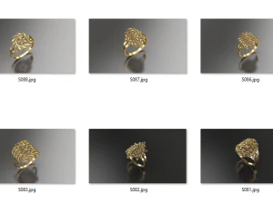 An&eacute;is de fus&atilde;o 10 Modelo de Impressão 3D