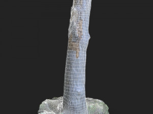 stump 3d scan 3D Модель