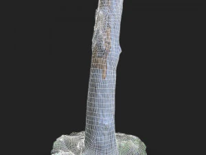 stump 3d scan 3D Model