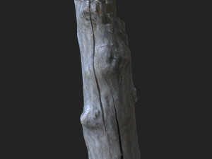 stump 3d scan 3D Модель