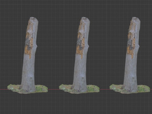 stump 3d scan 3D Модель