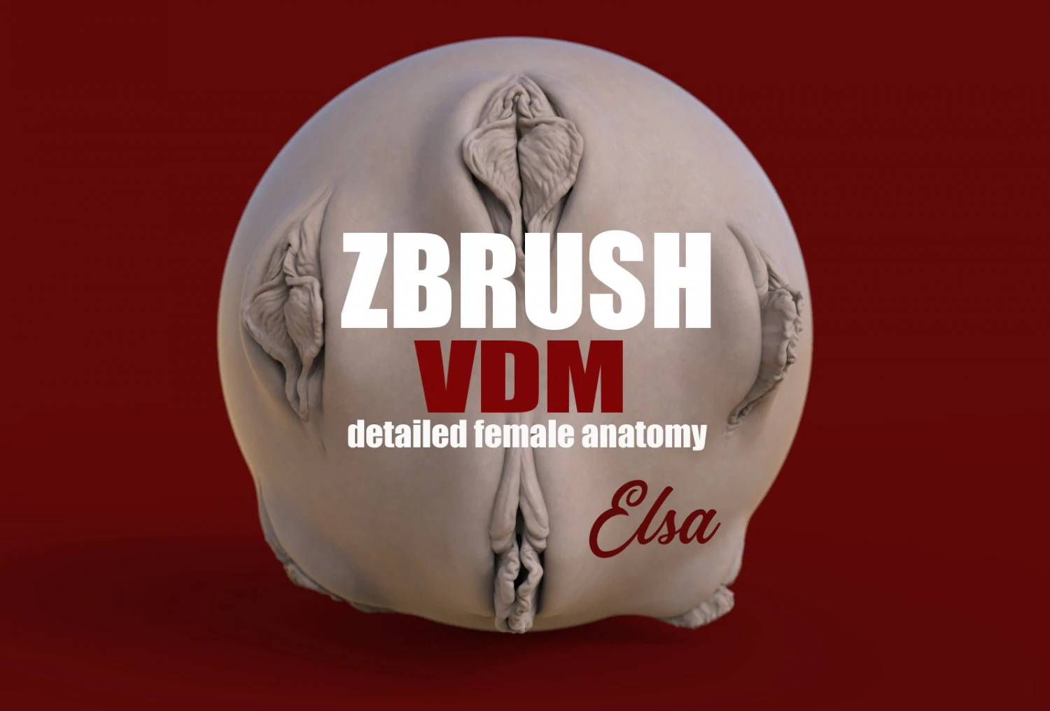 elsa- zbrush vdm- obj- female genital realistic anatomy 3D Model .c4d .max .obj .3ds .fbx .stl .blend 
