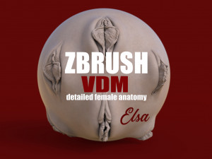 elsa- zbrush vdm- obj- female genital realistic anatomy Model 3D