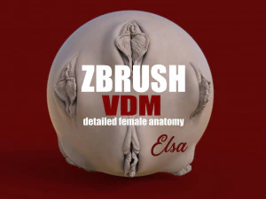 Эльза- zbrush vdm- obj- реалистичная анатомия женских половых органов 3D Модель