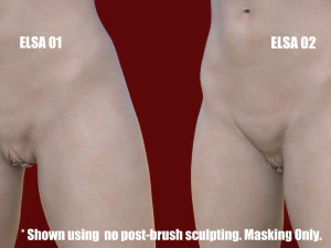 elsa- zbrush vdm- obj- female genital realistic anatomy 3D Model