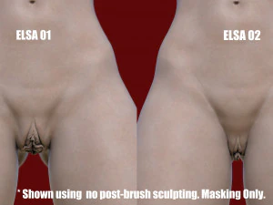 elsa- zbrush vdm- obj- female genital realistic anatomy 3D Model