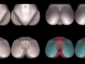 elsa- zbrush vdm- obj- female genital realistic anatomy 3D Модель