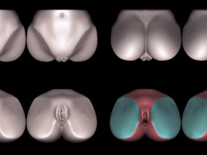 elsa- zbrush vdm- obj- female genital realistic anatomy 3D Model