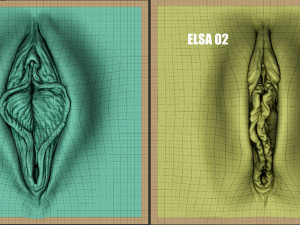 elsa- zbrush vdm- obj- female genital realistic anatomy 3D Модель