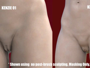 kenzie- zbrush vdm- obj- female genital realistic anatomy 3D Model