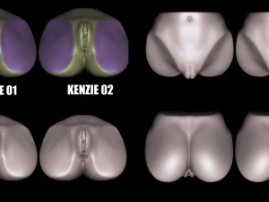 kenzie- zbrush vdm- obj- female genital realistic anatomy 3D Model