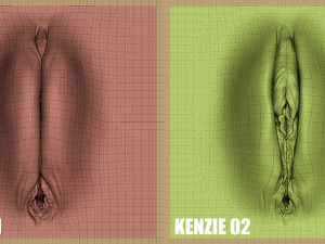 kenzie- zbrush vdm- obj- female genital realistic anatomy 3D 모델
