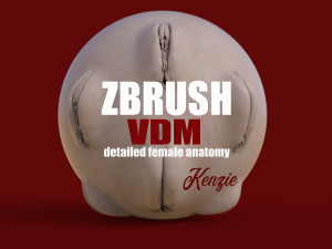 kenzie- zbrush vdm- obj- female genital realistic anatomy Model 3D