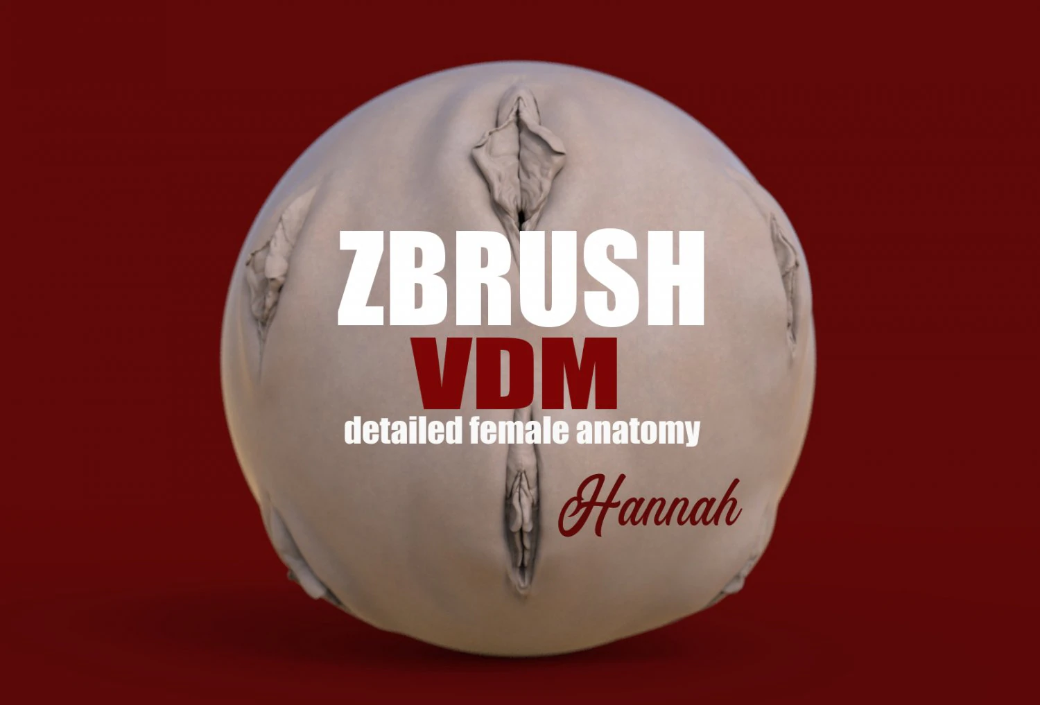 hannah - zbrush vdm- obj- female anatomy 3D Print Model .c4d .max .obj .3ds .fbx .stl .blend 