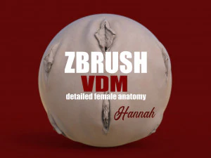 Ханна - zbrush vdm-obj- женская анатомия 3D Принт Модель