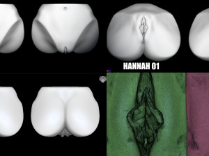 hannah - zbrush vdm- obj- female anatomy 3D-printmodel