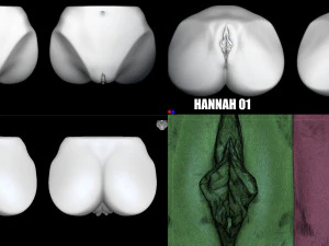 hannah - zbrush vdm- obj- female anatomy 3D Print Model