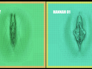 hannah - zbrush vdm- obj- female anatomy 3D-printmodel